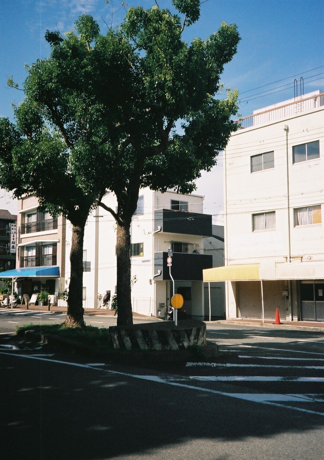 MINOLTA Capios 130S / FUJIFILM C200｜Peacock Film Store