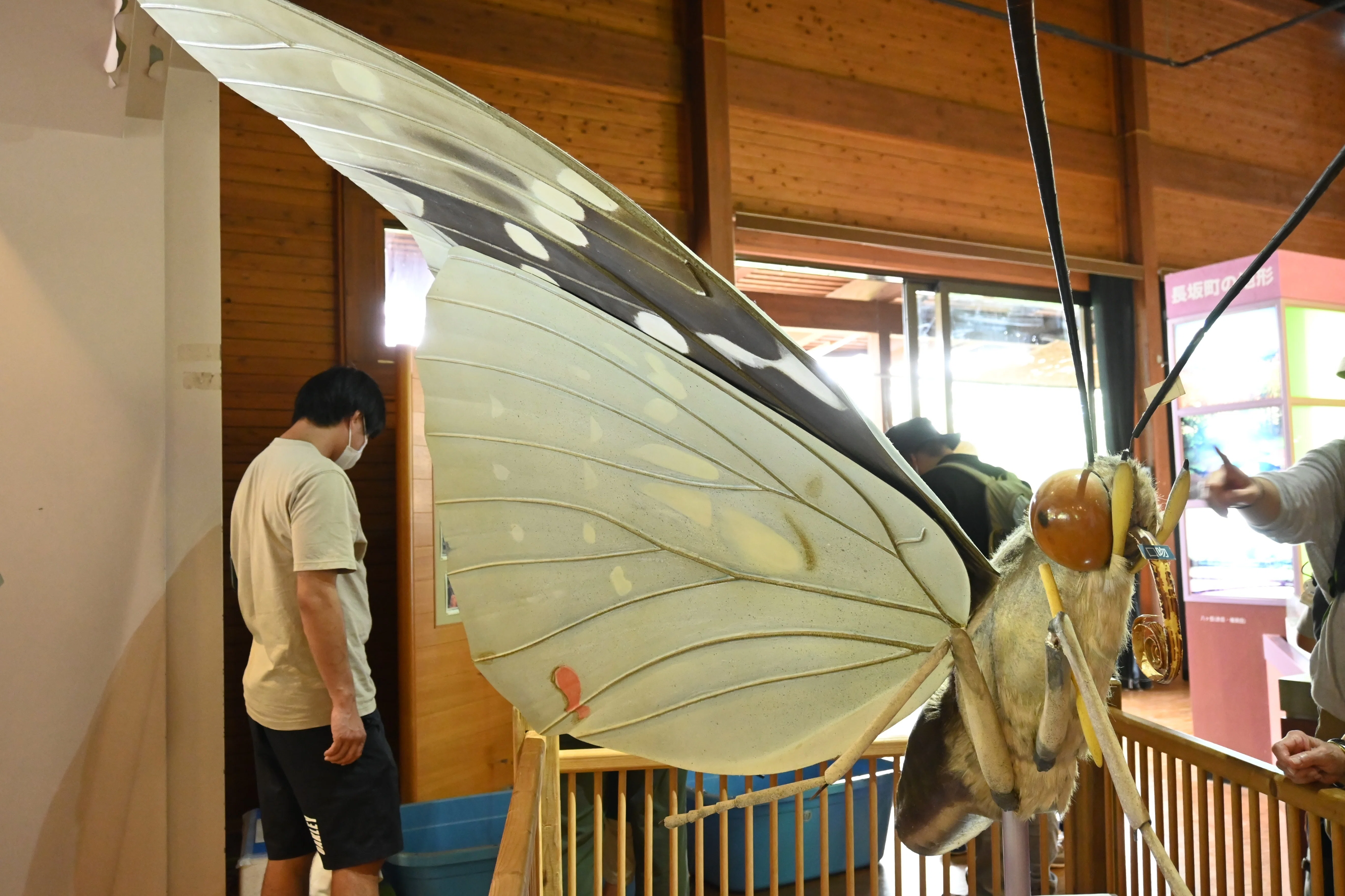 昆虫注意】山梨県北杜市・オオムラサキセンターでたくさんの虫を見てき