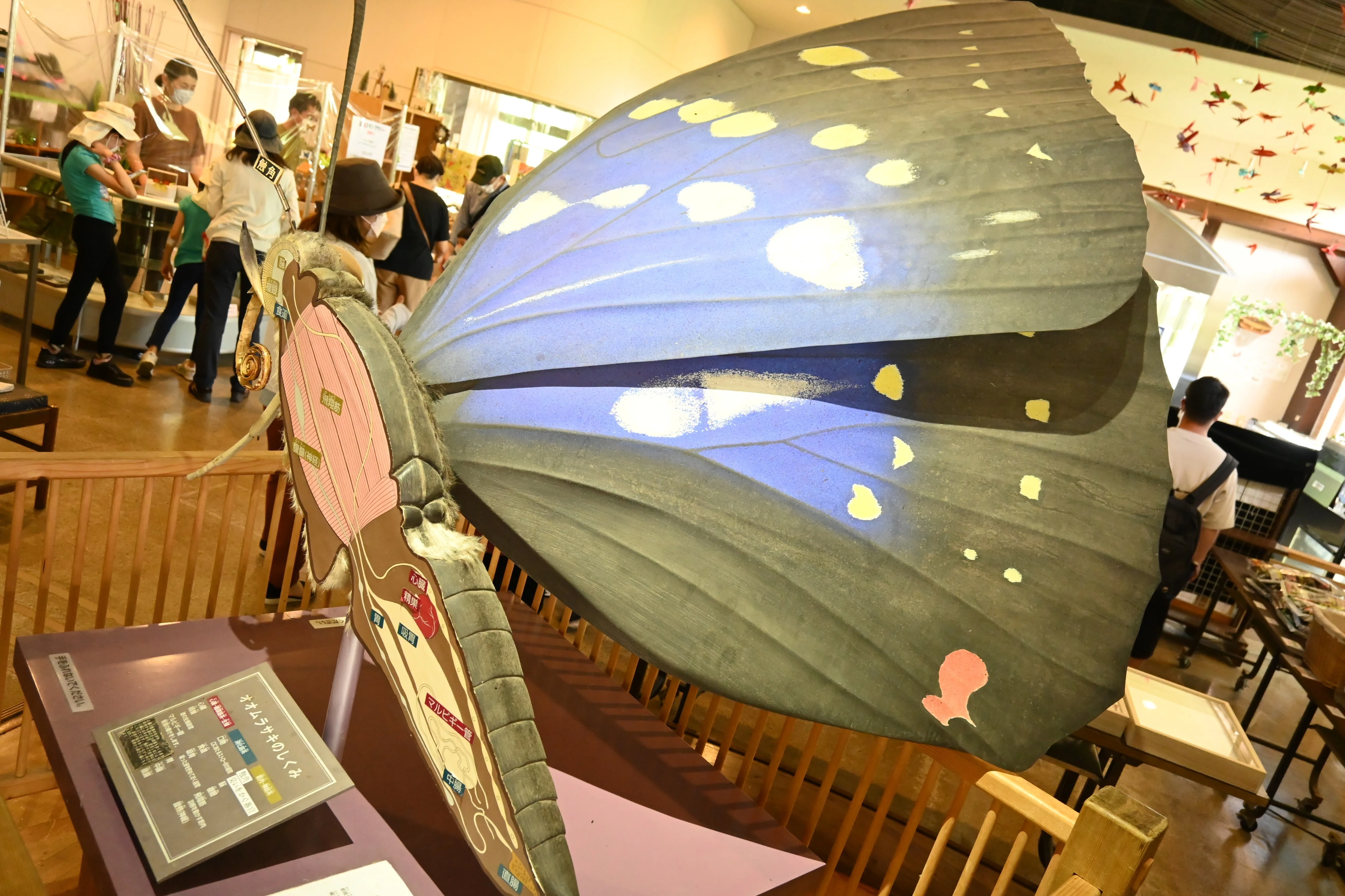 昆虫注意】山梨県北杜市・オオムラサキセンターでたくさんの虫を見てき