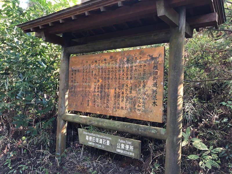 山と歴史の連なる道　箱根　旧東海道　杉並木