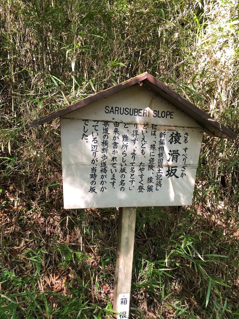 山と歴史の連なる道　箱根　旧東海道　石畳の道　猿滑坂