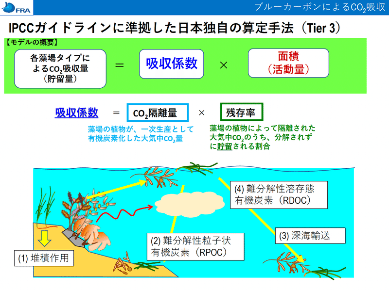 ブルーカーボンって一体なに?宮城県ブルーカーボンシンポジウムをレポートします。