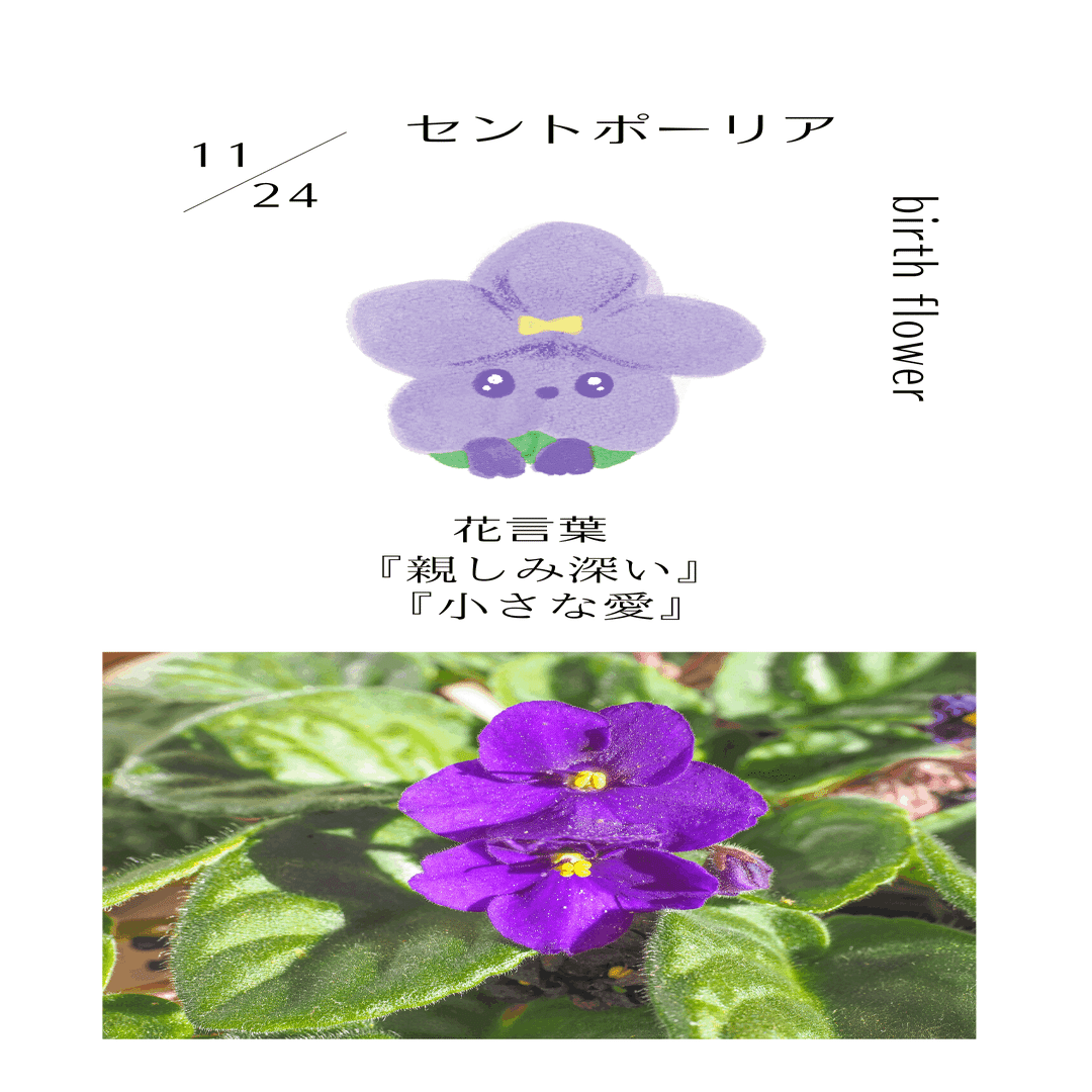 誕生花 花言葉 365日花 森田はぐみ イラストレーター Note