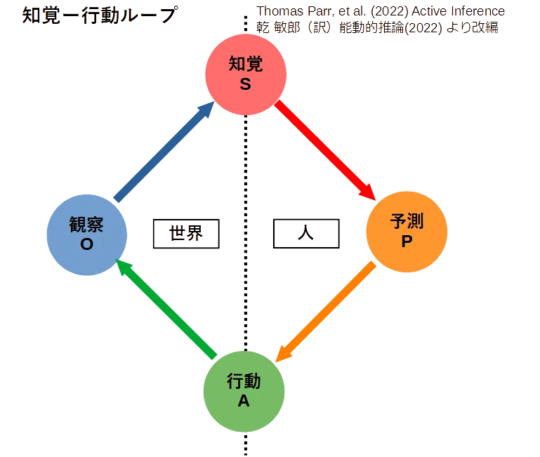 能動的推論とW型問題解決モデル（自由エネルギー原理解説-展開編