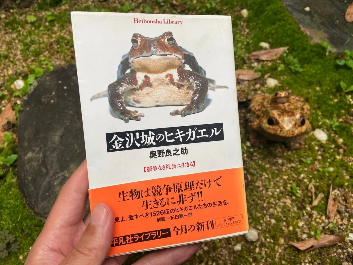金沢城のヒキガエル 奧野良之助著／平凡社ライブラリー｜京都新聞 note