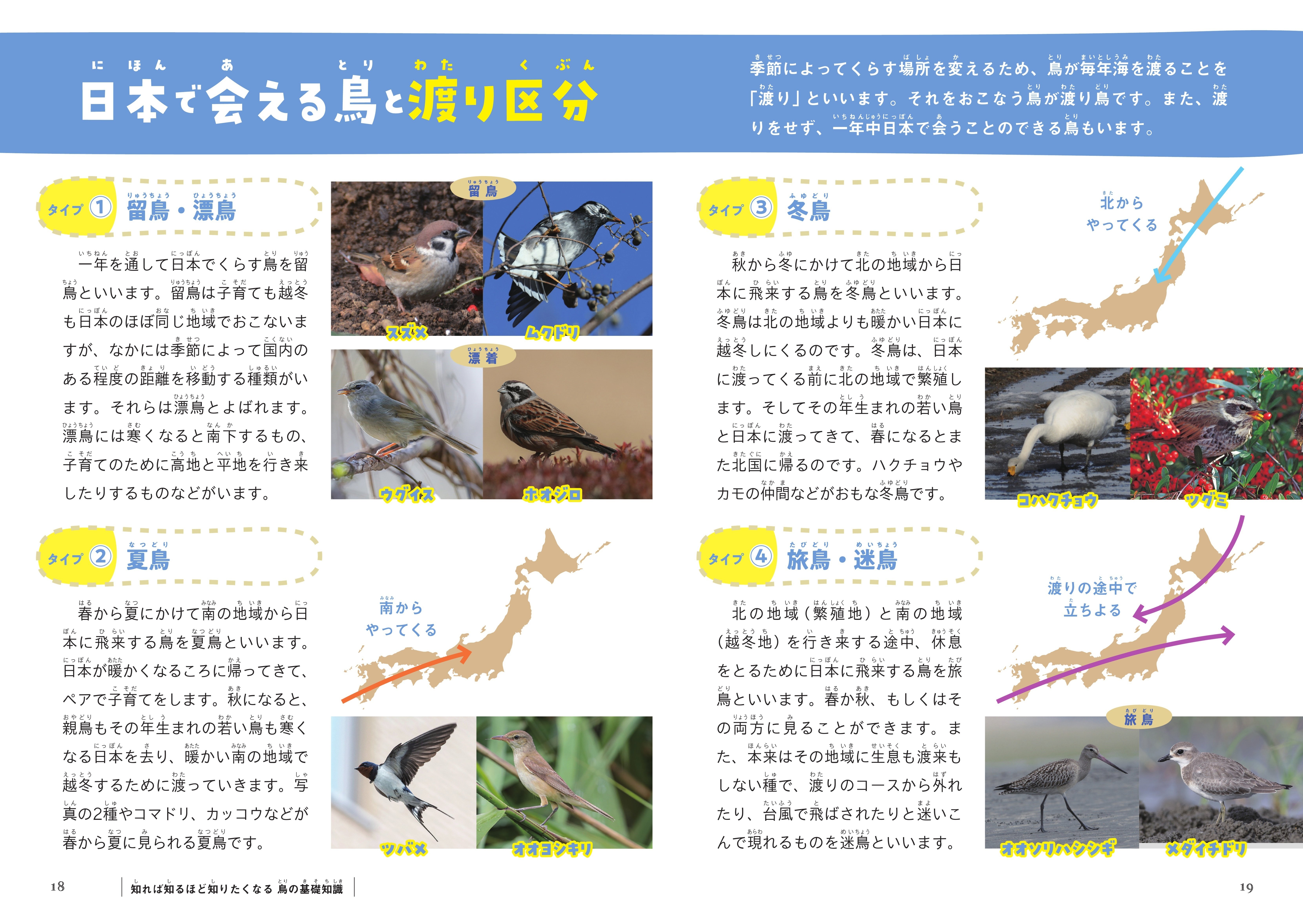 鳥類学 鳥は人間の想像をはるかに超えた世界を生きている!?「おもしろふしぎ