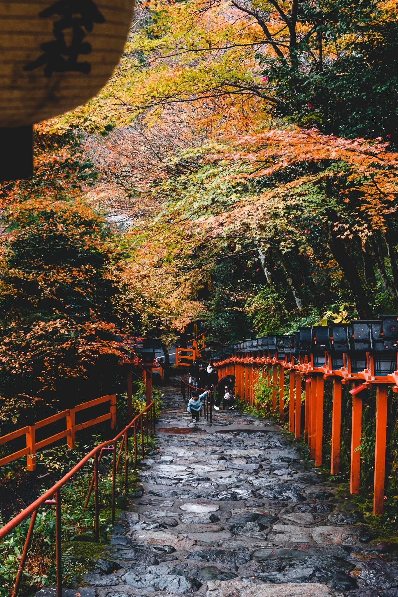 貴船と鞍馬と紅葉【写真40枚】｜Nocchi(のっち)