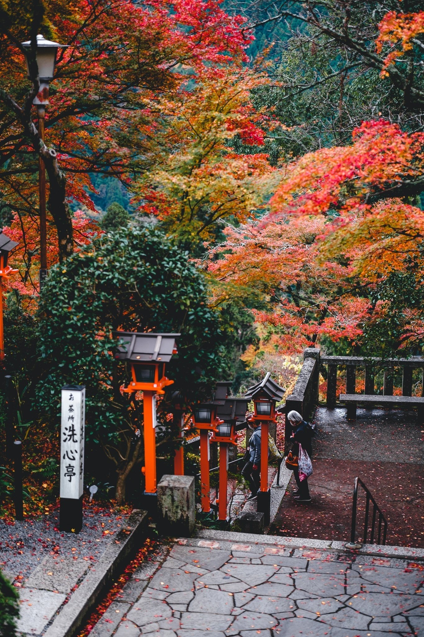貴船と鞍馬と紅葉【写真40枚】｜Nocchi(のっち)