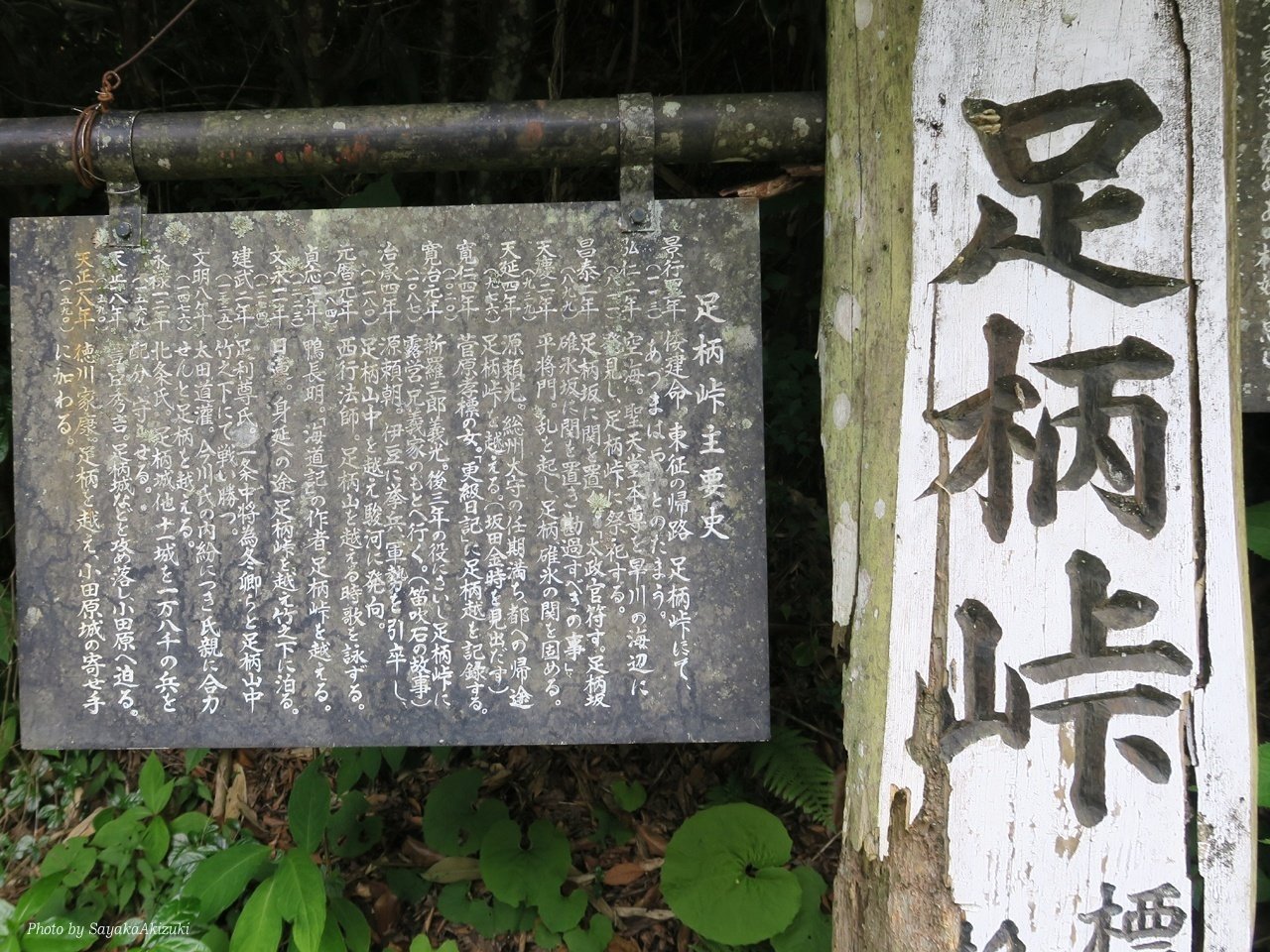 吾妻鏡　國史大系　地名　人名　索引 吾妻鏡人名索引 - 株式会社 吉川弘文館 歴史学を中心とする