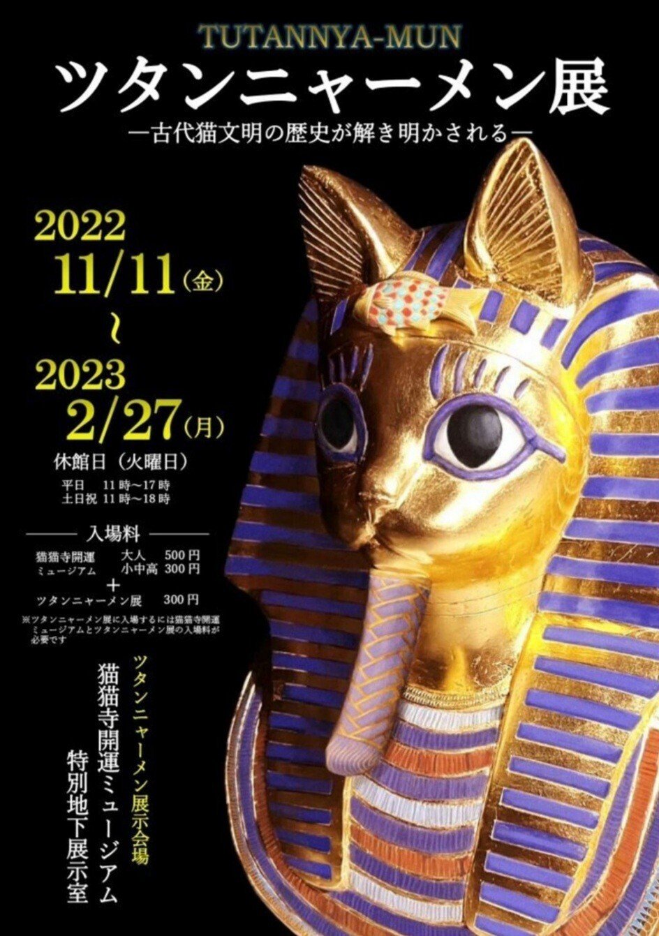 京都へ行こう❣【129】｜ひばりん