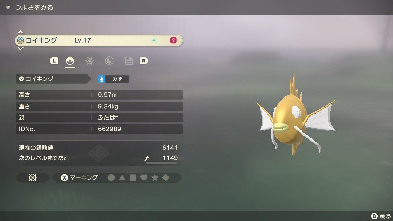 LA】コイキング｜双葉月＊