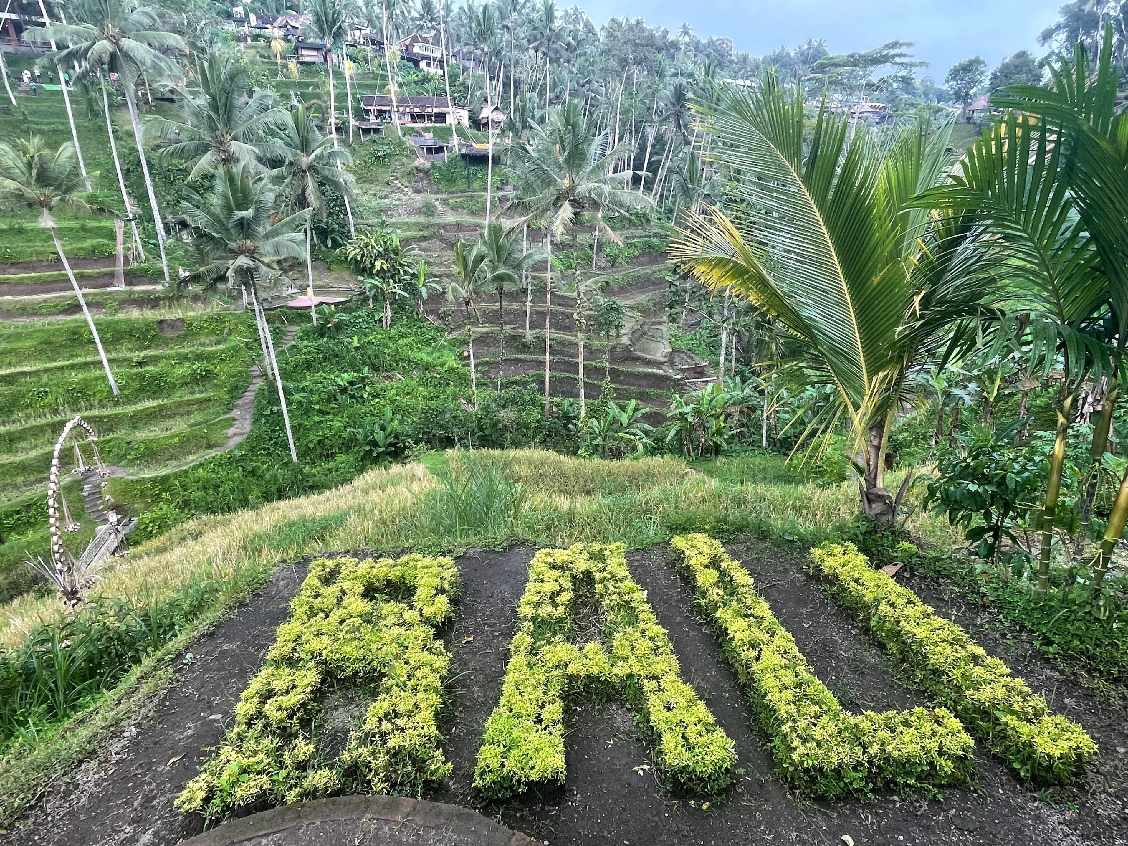 学校に行ってみた】インドネシア、バリにあるThe Green School｜西山和季