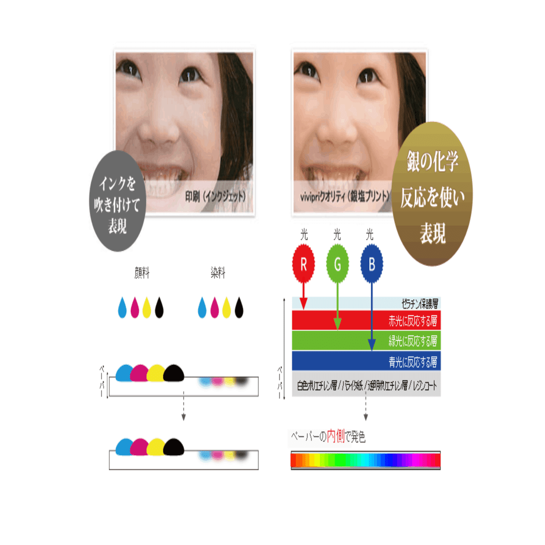 スマホで簡単 しまうまプリント と ビビプリ の年賀状を比較 Rikipri フォトブック作家 Note