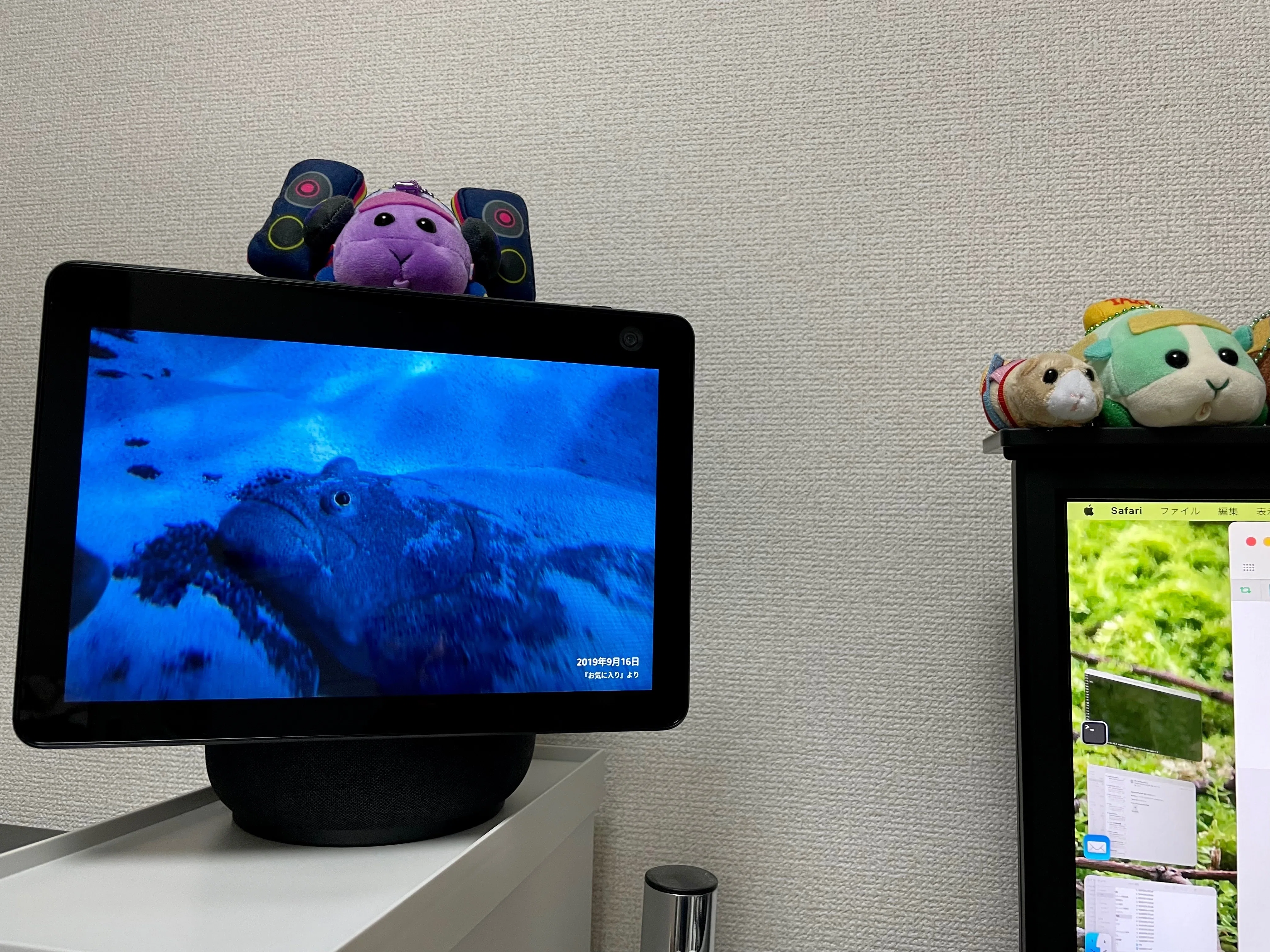 Echo Show 10を買った｜NJRecalls