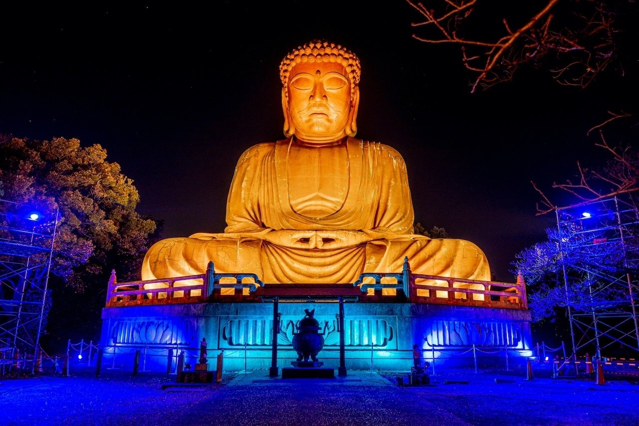 大仏様 ご確認 光の観光資源 Vol.2】 大仏様へのライトアップ｜芦木浩隆