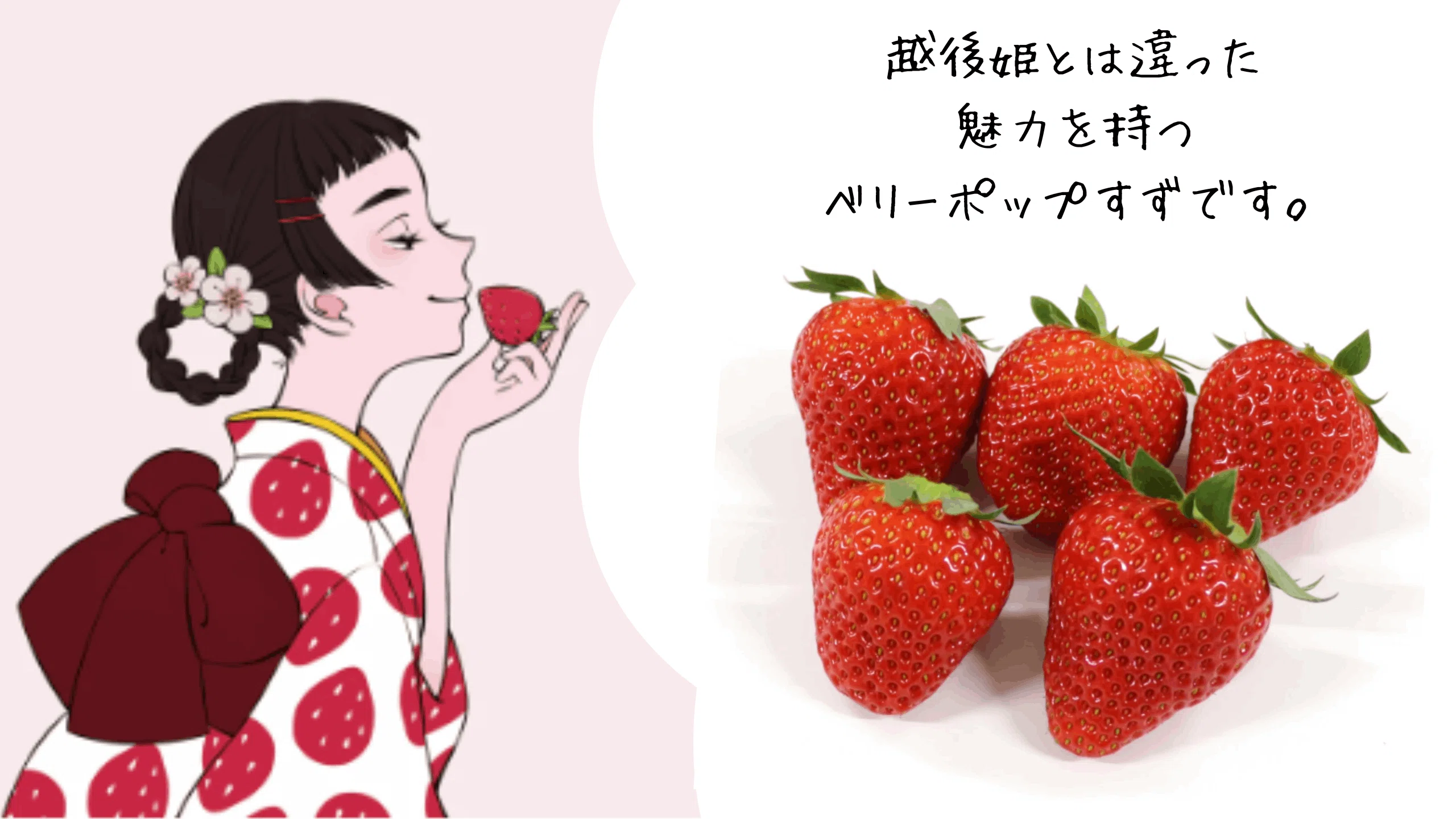9いちごの街・新発田】プロジェクトの起爆剤となるか！？新品種が