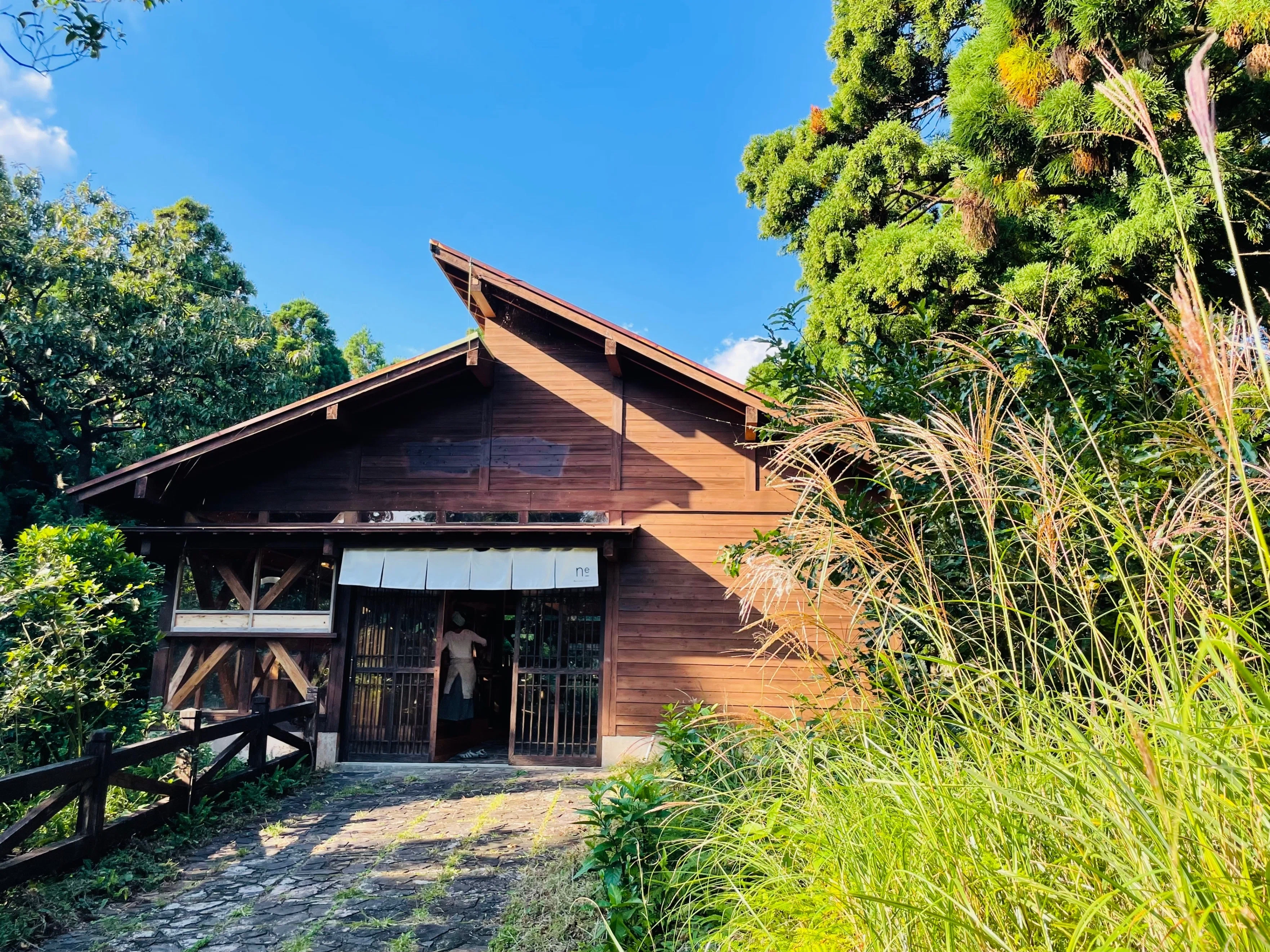 父と歩く屋久島〜縄文杉に行かない島巡り〜｜Maki | たかだ茉季