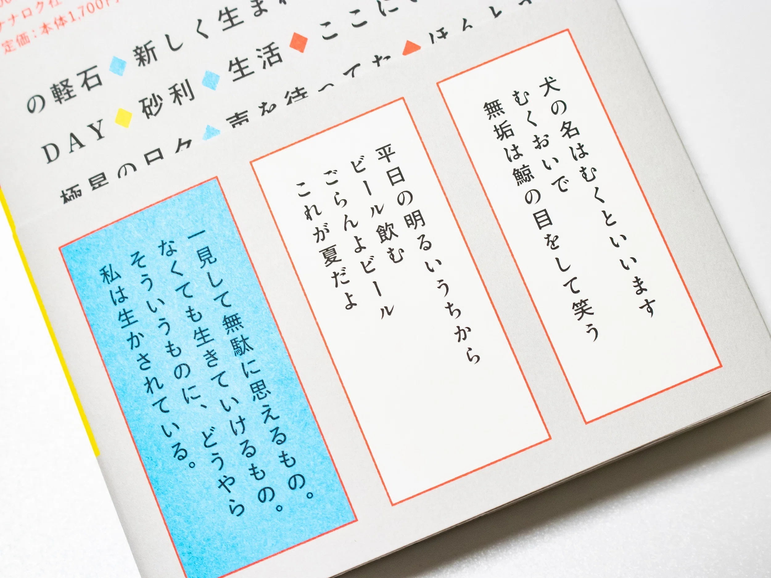第一歌集『水上バス浅草行き』を刊行しました｜岡本真帆