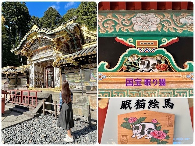 ガン見確定 世界遺産 日光東照宮 の新解釈ポイント 戸川みゆき Note