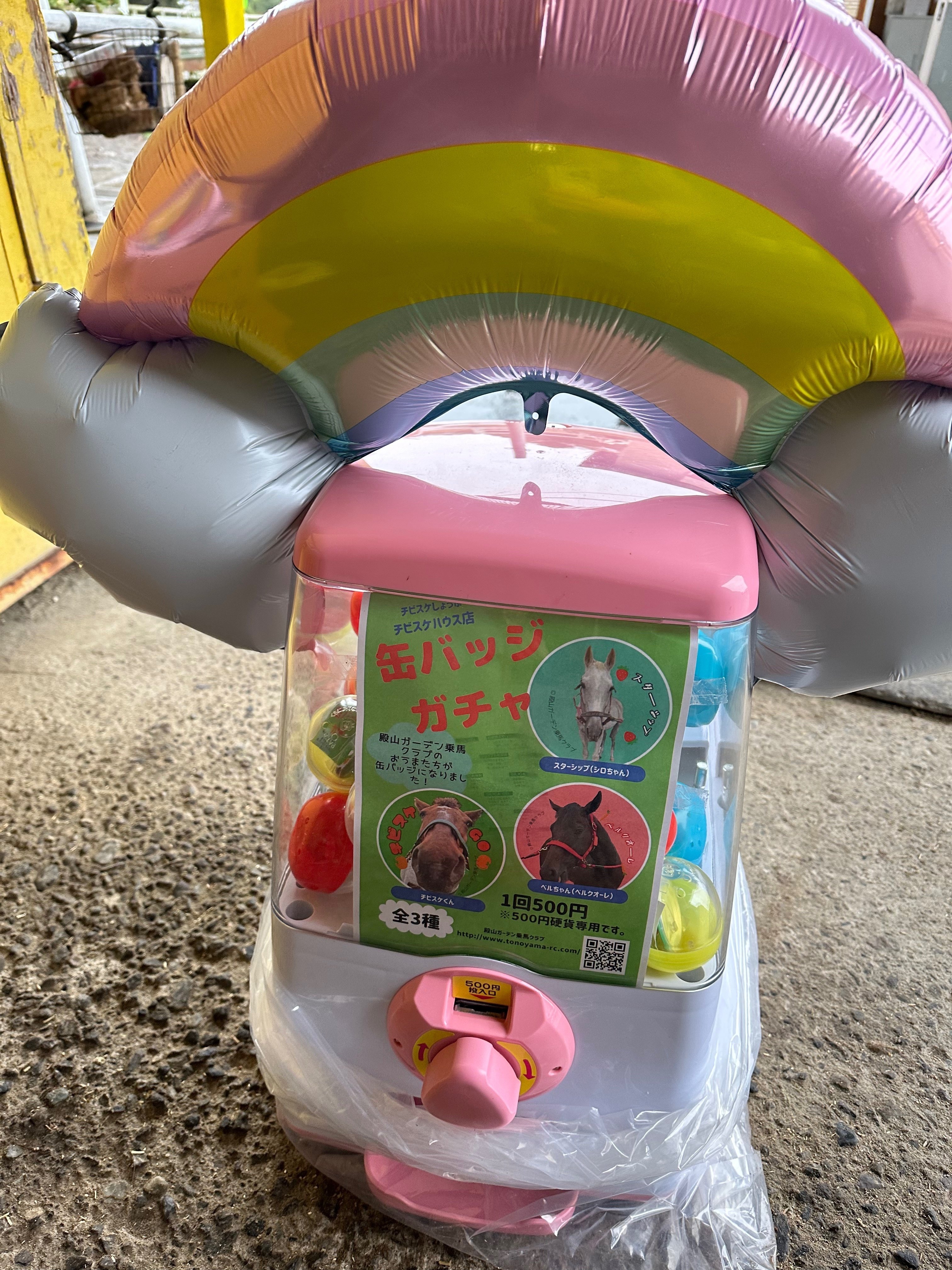 ガチャキューブ ピンク 500円硬貨仕様 市場】ガチャキューブ (ピンク