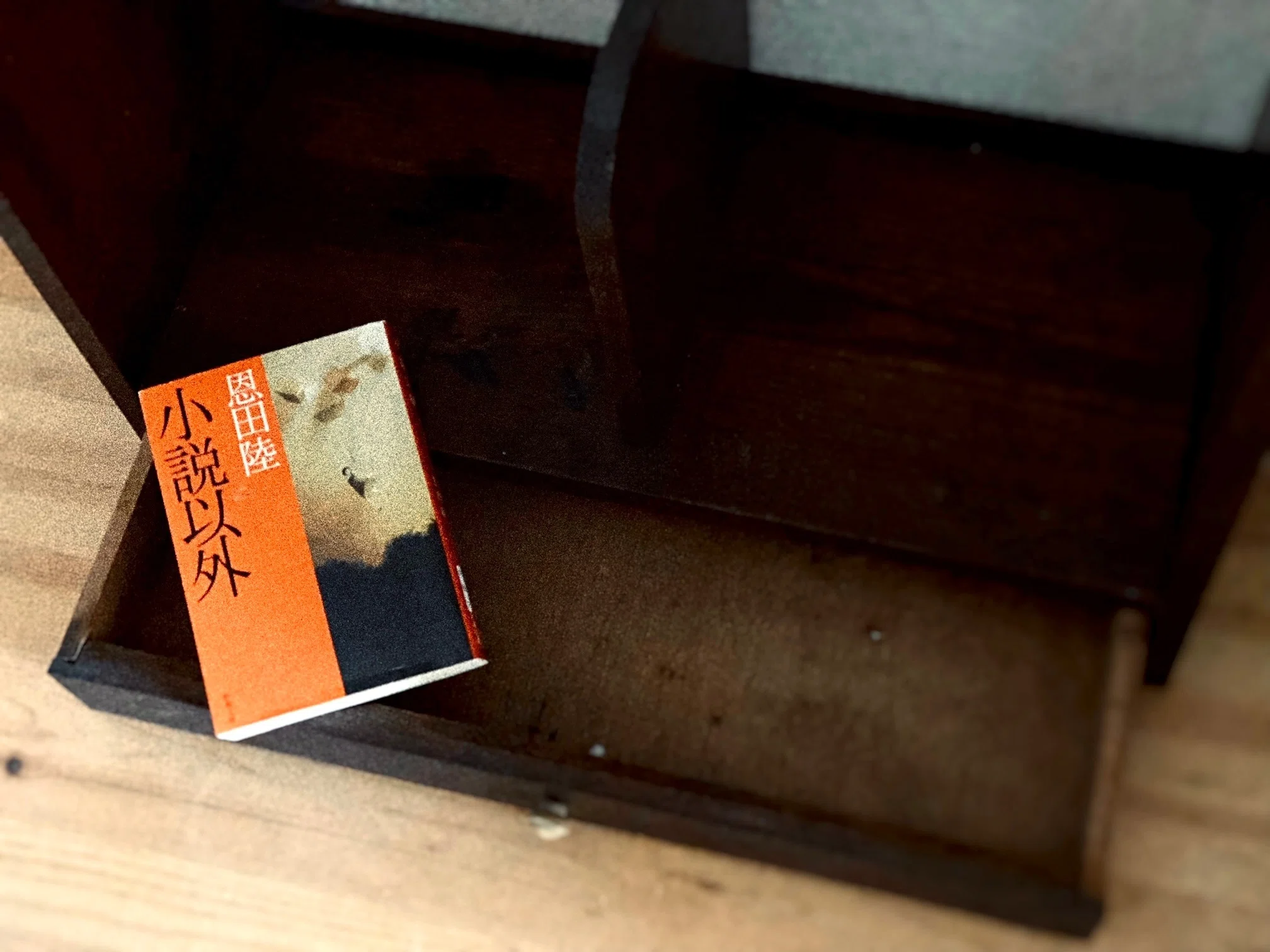 第10回 「大量に読み、大量に書く」恩田陸の書評が持つ魅力｜三宅香帆