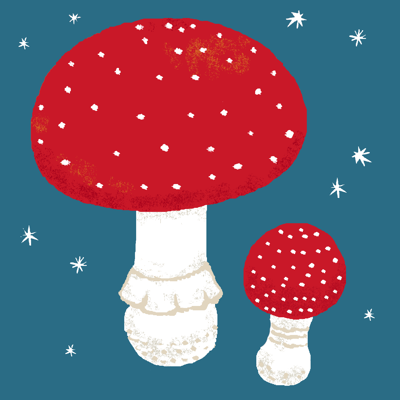 降っても降らなくても Bigtree Note 降っても降らなくても Bigtree Note