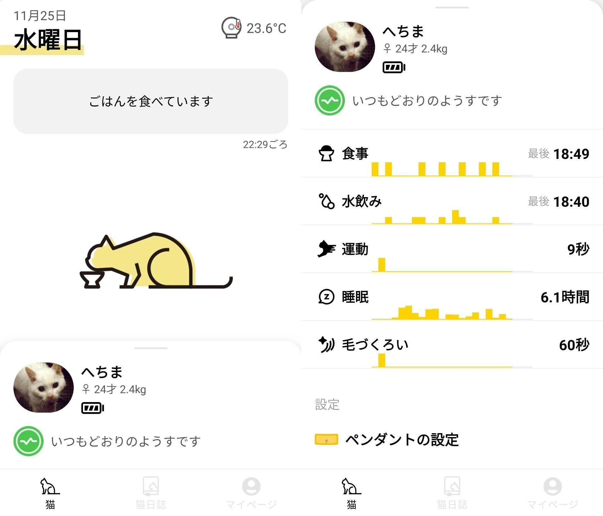 12/1までに読め！】改めて、Catlog。｜如月紅庵