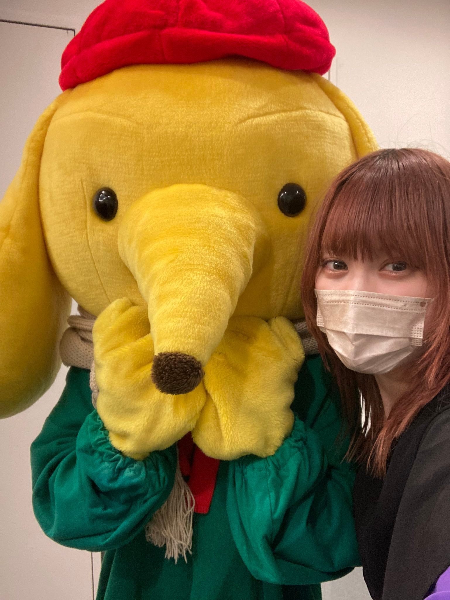 豆柴の大群　カエデ　セット 93 もうすぐ結成3年目！？不死鳥と共に駆け抜けた「豆柴の大群