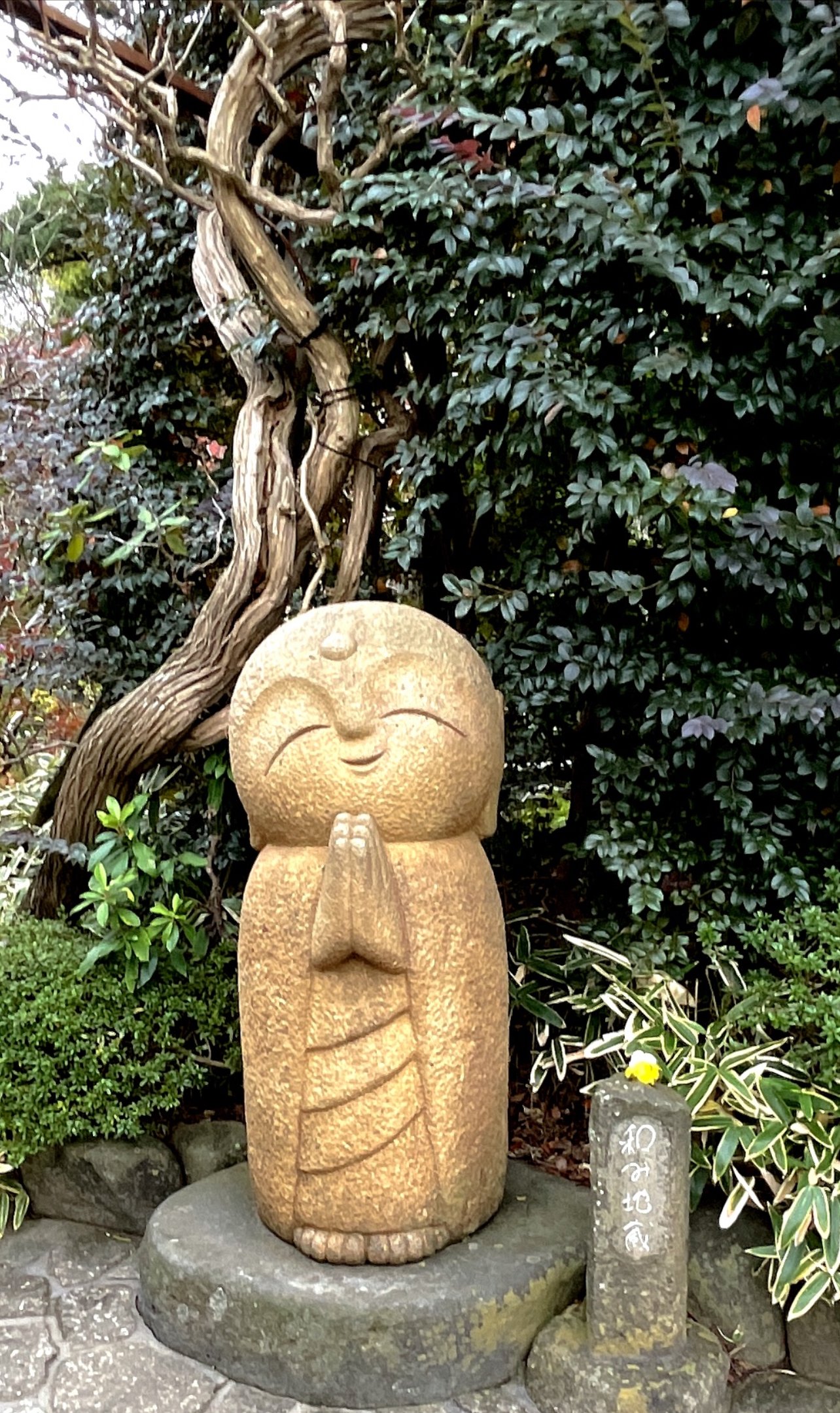 長谷寺 和み地蔵｜きんさん