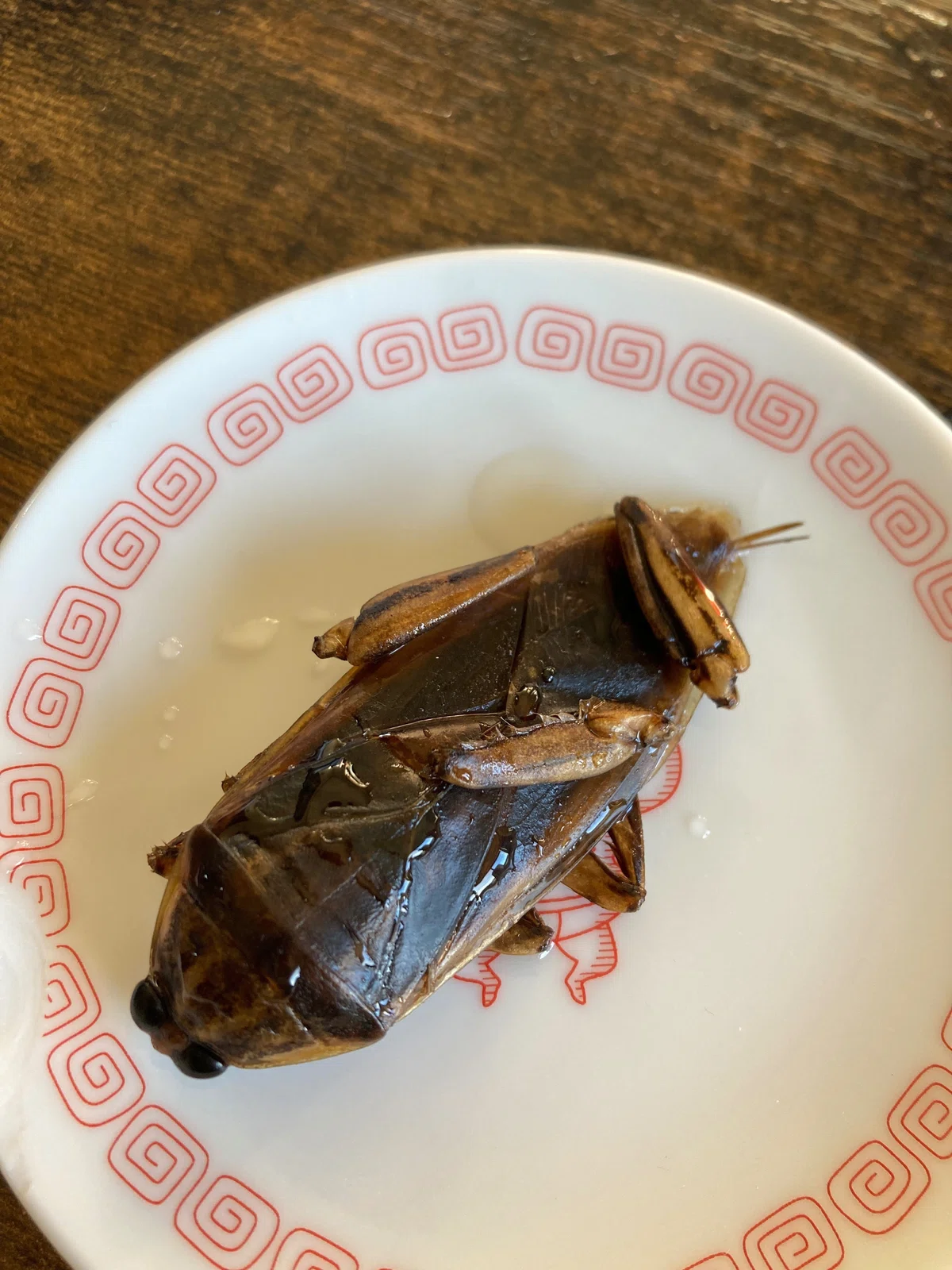 タガメ料理食べ比べ|ジャングルジャミン