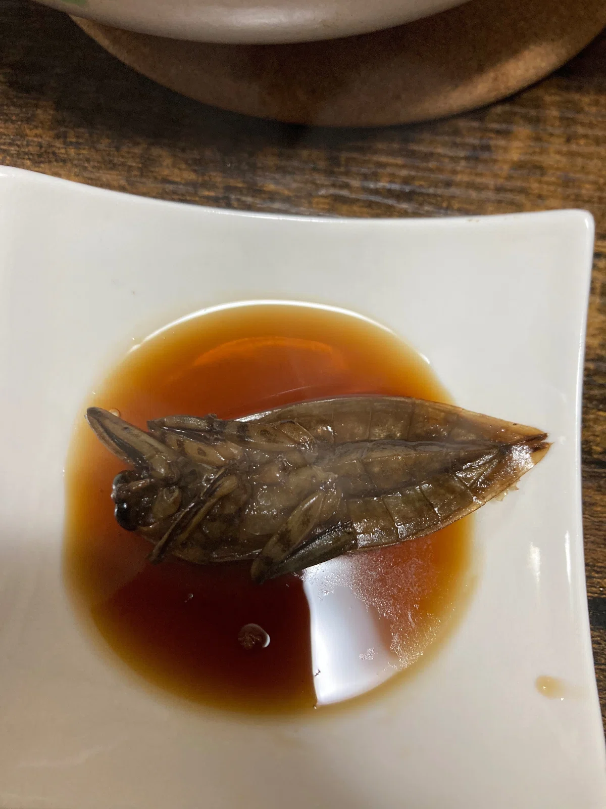 タガメ料理食べ比べ|ジャングルジャミン
