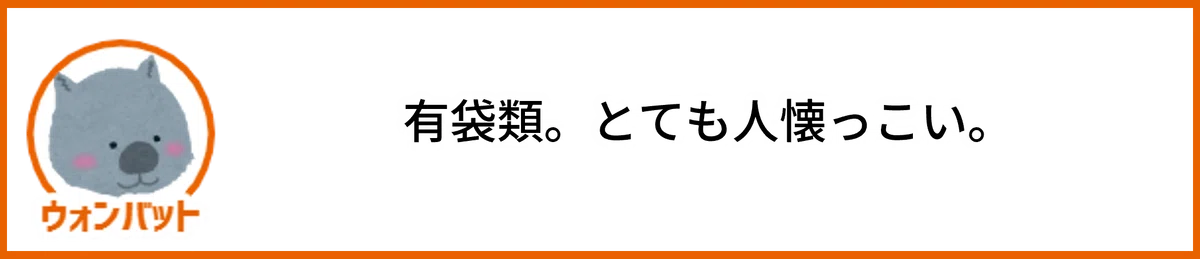 ウォンバット。有袋類。とても人懐っこい。