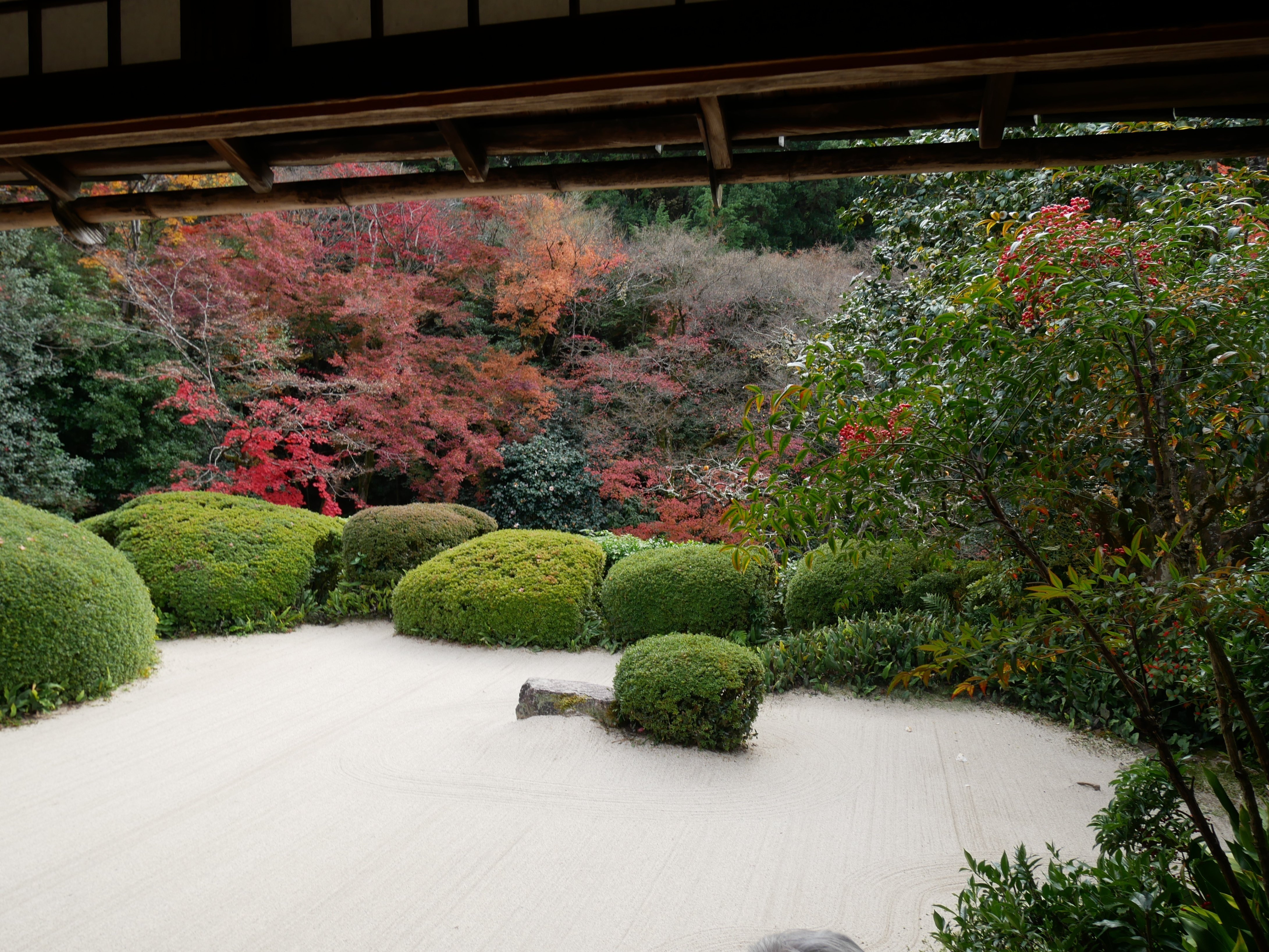 加藤登美子、【夢もいざよう紅桜　しのぶ想いをふりそでに　京都先斗町にて】 さくらんぼの実る頃 』 加藤登紀子 〜紅の豚〜主題歌