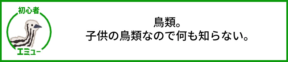 エミュー。鳥類。 子供の鳥類なので何も知らない。初心者。