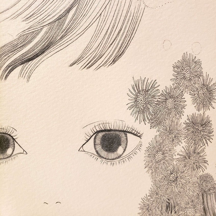 アゲラタムという花のこと Kyoko Hashimoto Note