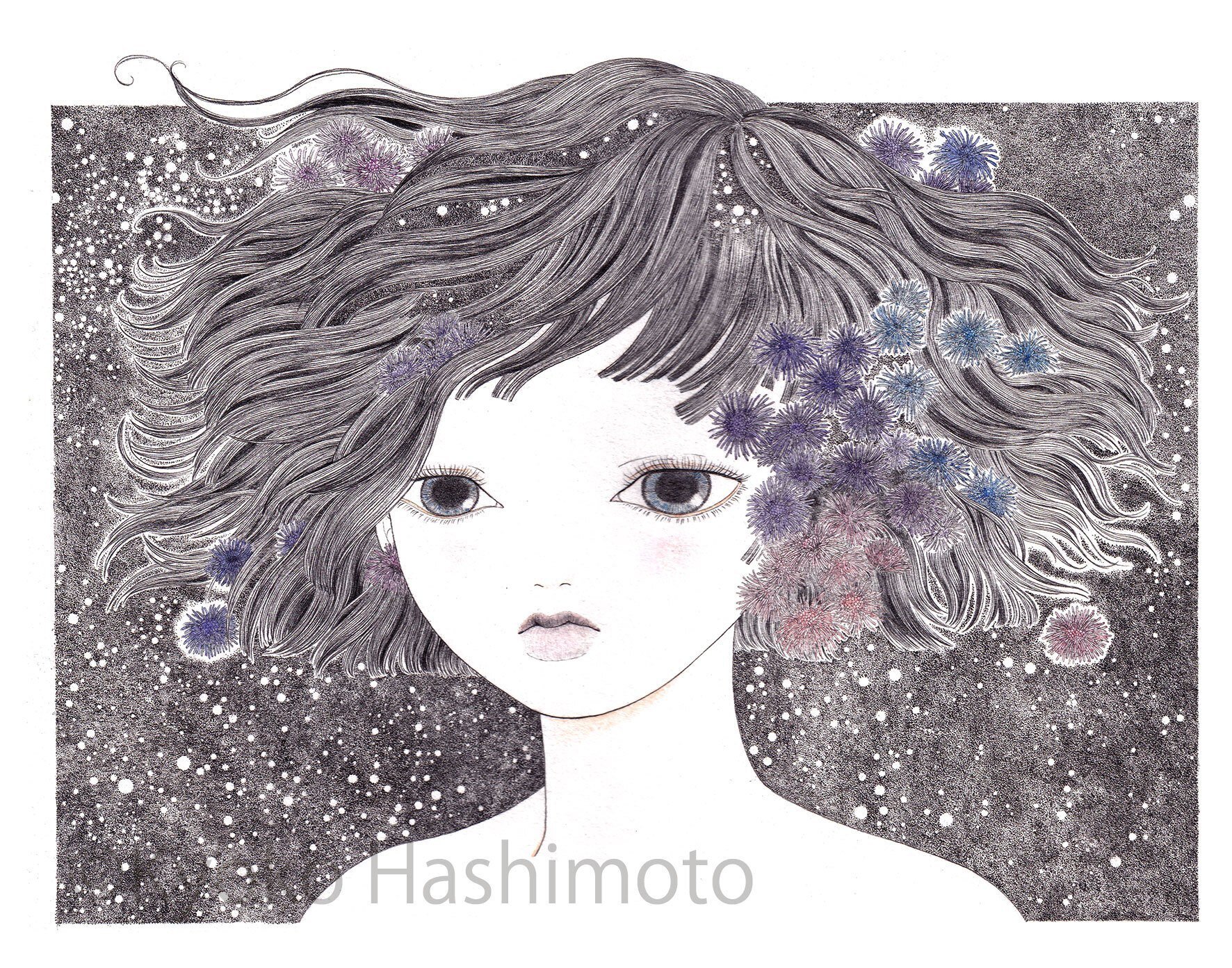 アゲラタムという花のこと｜Kyoko Hashimoto