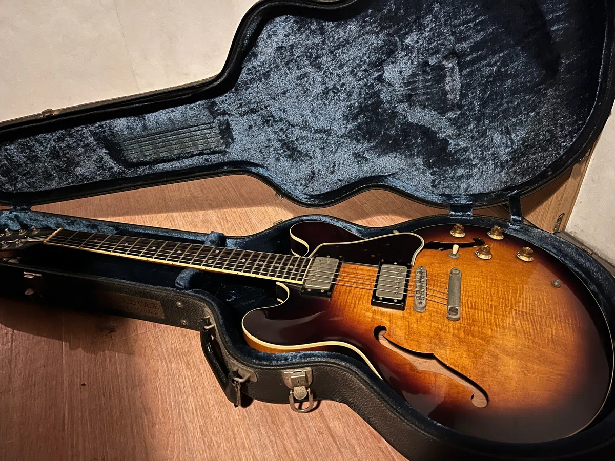 Greco SA-900 グレコ エレキギター 本体 ケース付き