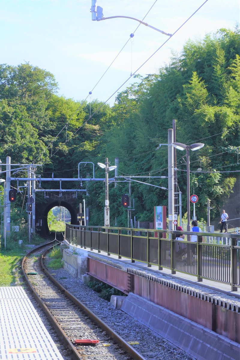 ＜2022年 初秋・秋田＆仙台の旅 no.26＞ 松島海岸駅ホームからの景色。単線が伸びるトンネル、その奥の緑が、またキラキラと輝いていて、大好きな一枚です。 