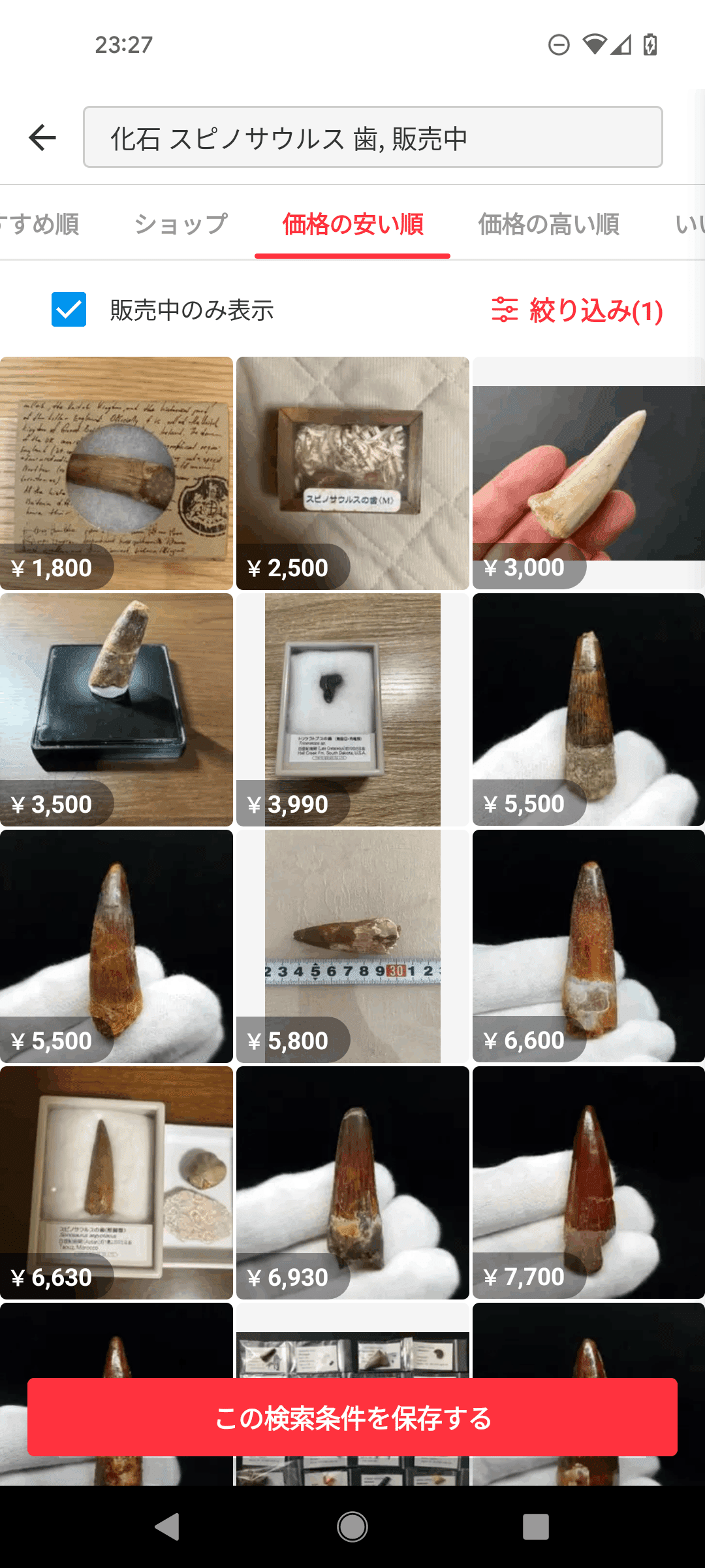 その化石って本物？恐竜時代の化石収集の世界と偽物の見分け方｜KY研究