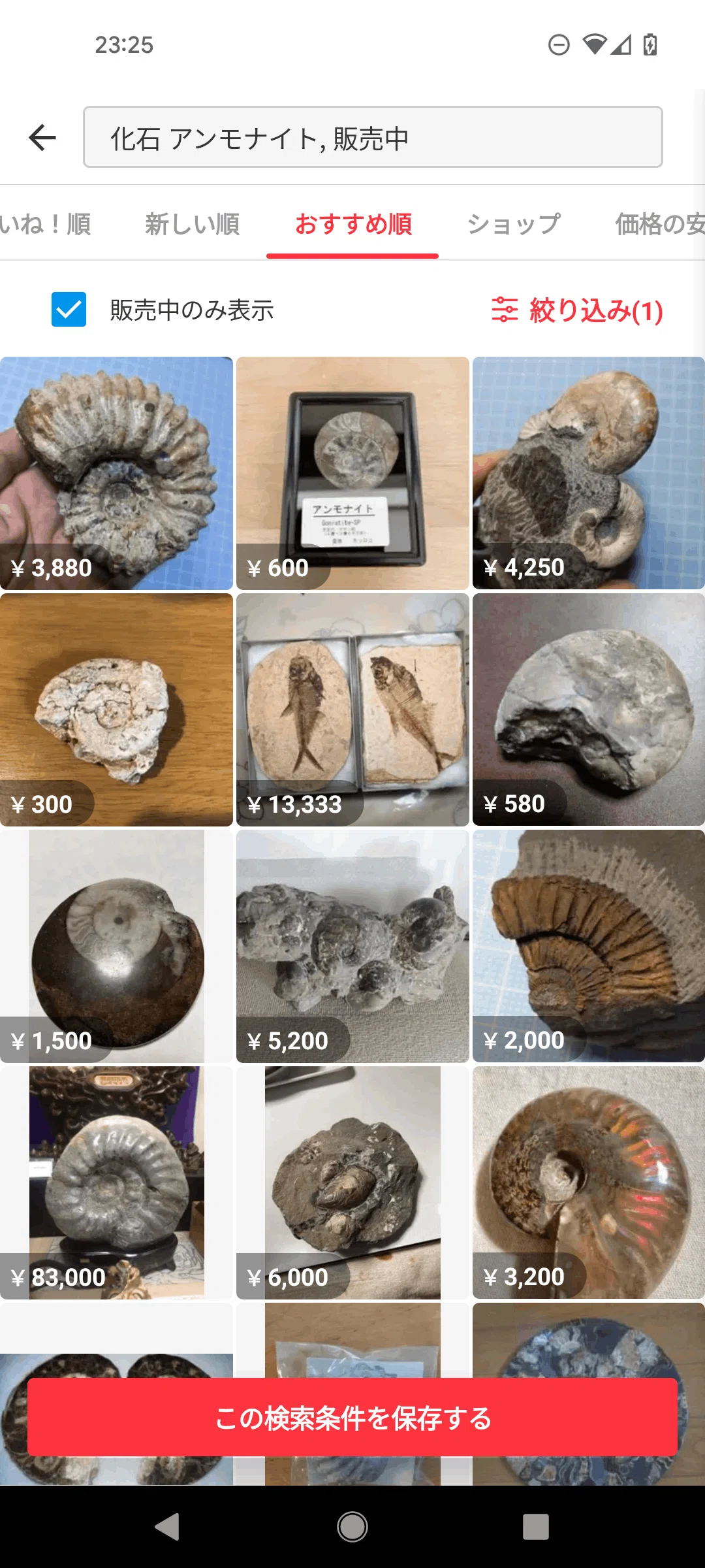 その化石って本物？恐竜時代の化石収集の世界と偽物の見分け方｜KY研究