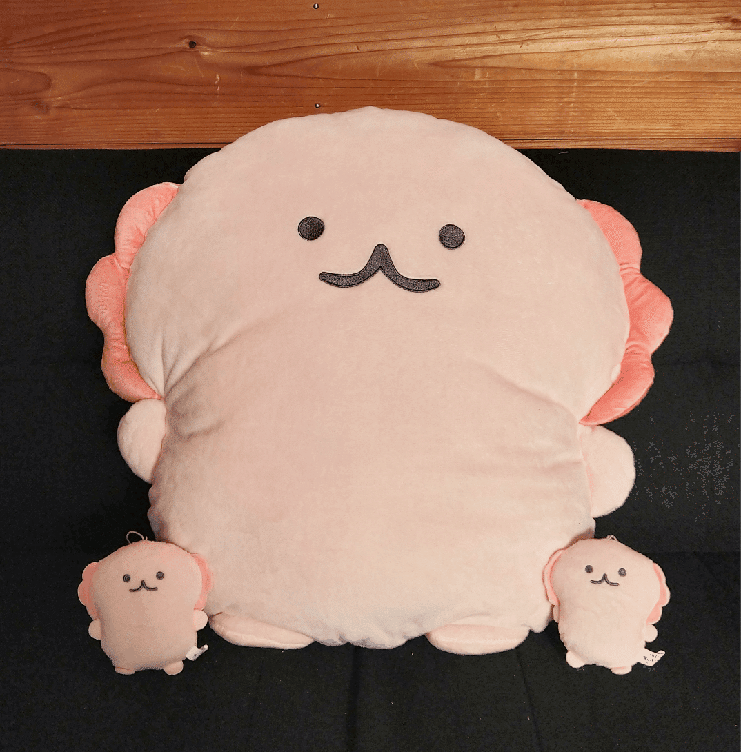 ゆるいすいぞくかんBIGぬいぐるみプライズのお知らせ｜かやぬゆみ