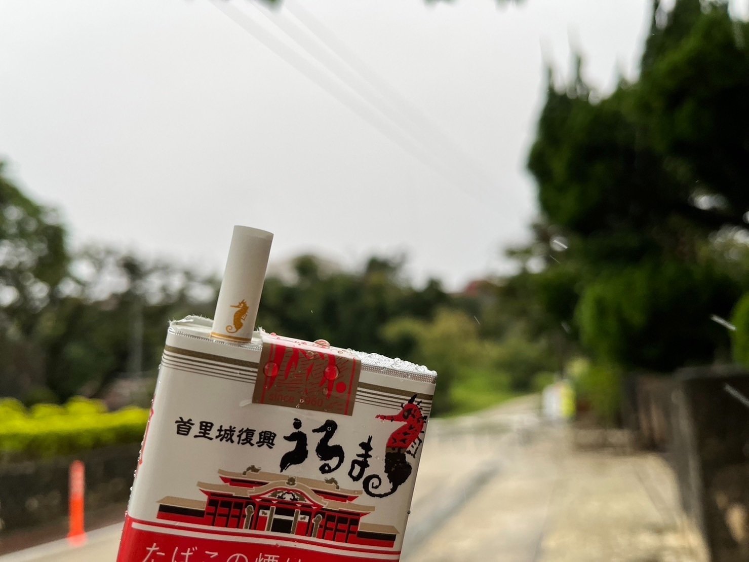 僕とオジーとタバコの話｜あなたの沖縄｜コラムプロジェクト