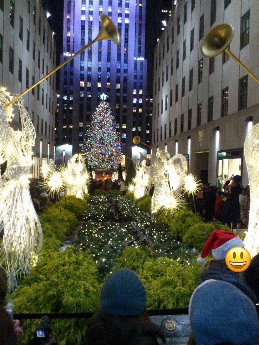 本物クリスマスツリーで溢れるアメリカの街｜まーぶる, image size:828x1104