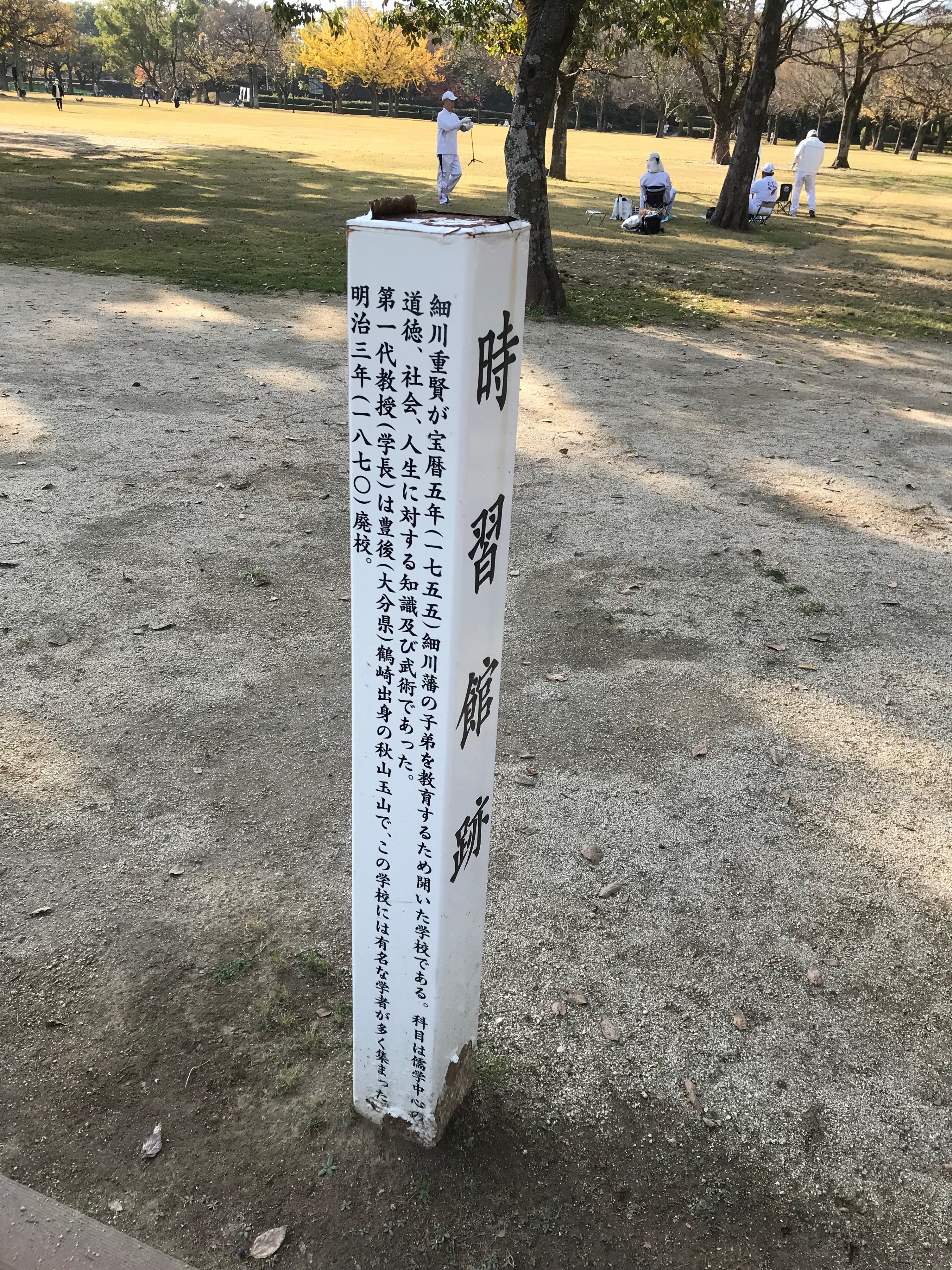 熊本城と肥後菊|Desert Rose 熊本城と肥後菊|Desert Rose