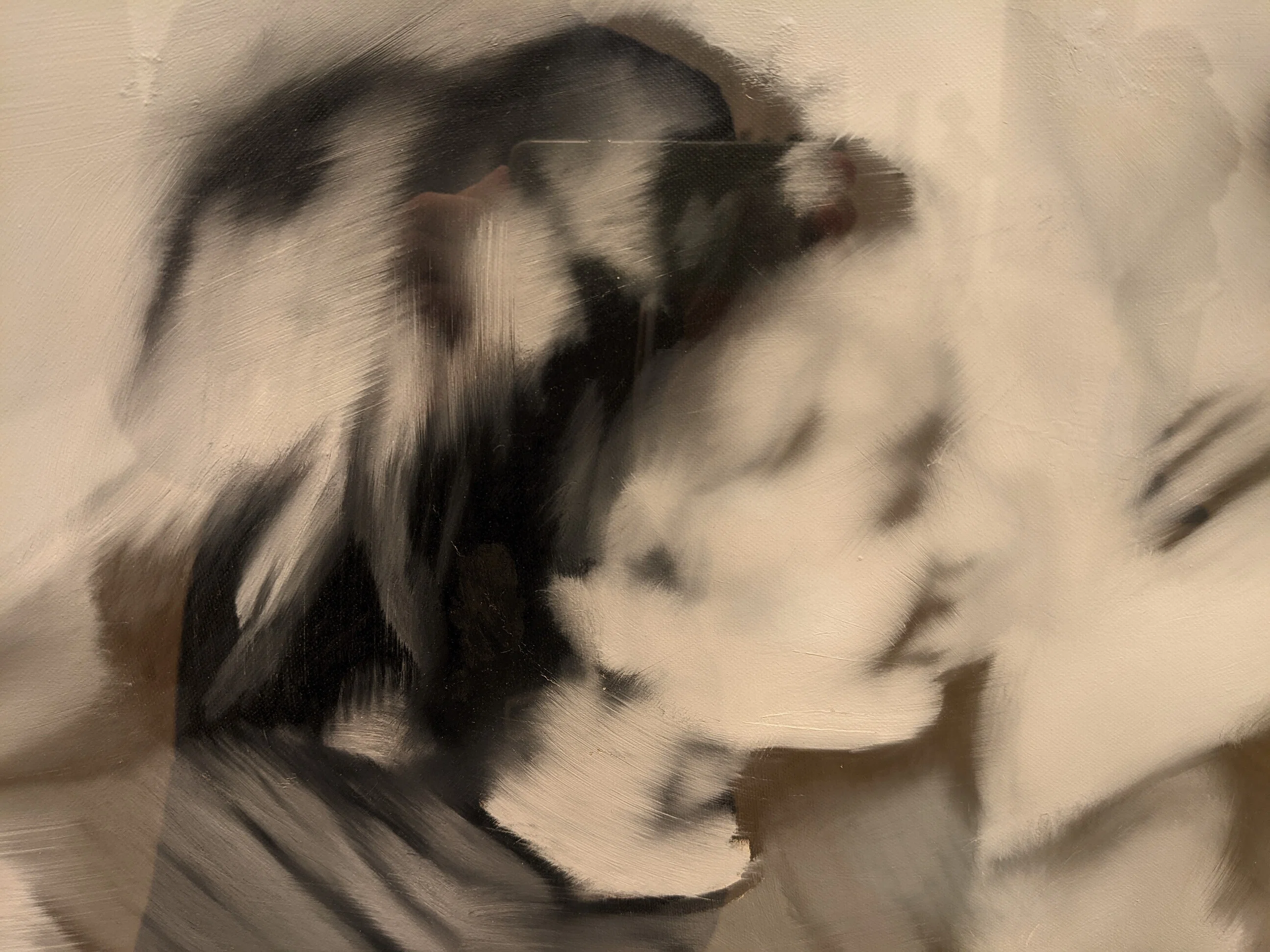 ゲルハルト・リヒター展／Gerhard Richter（東京国立近代美術館