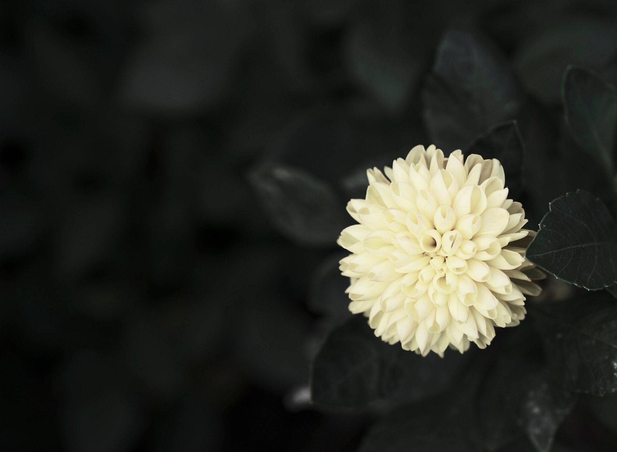 Vol 464 12月5日 好き嫌い 長い 豊田慶記 Note Vol 464 12月5日 好き嫌い 長い 豊田慶記 Note