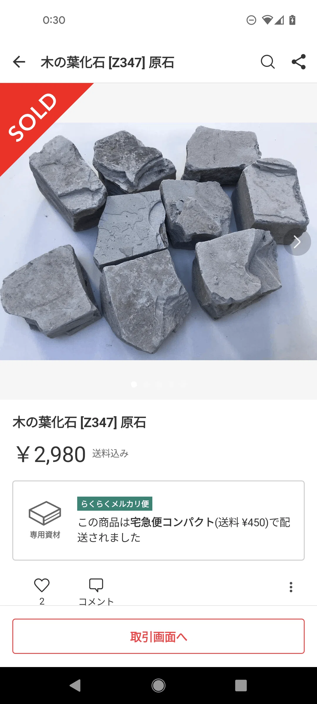 その化石って本物？恐竜時代の化石収集の世界と偽物の見分け方｜KY研究