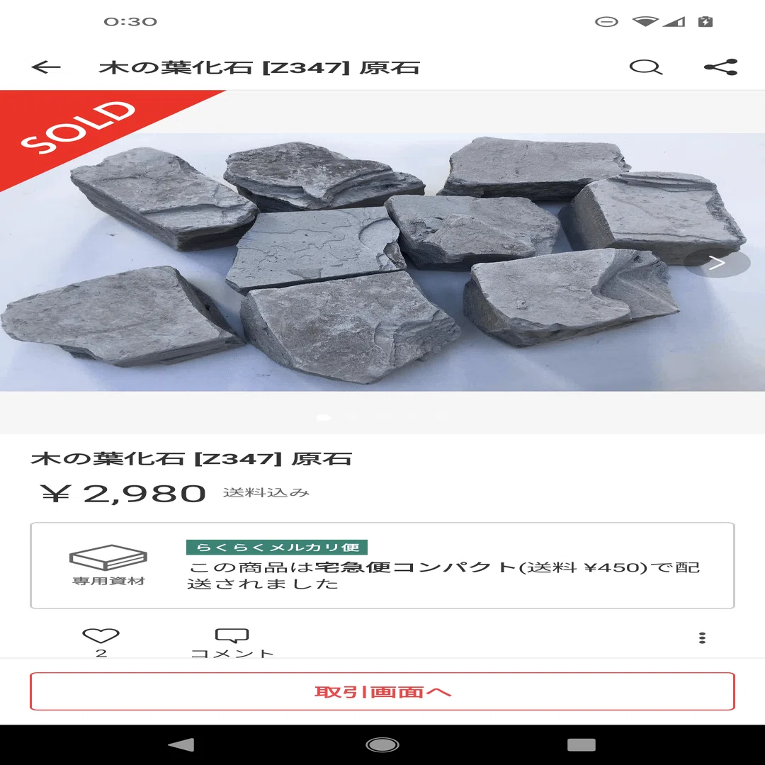 その化石って本物？恐竜時代の化石収集の世界と偽物の見分け方｜KY研究