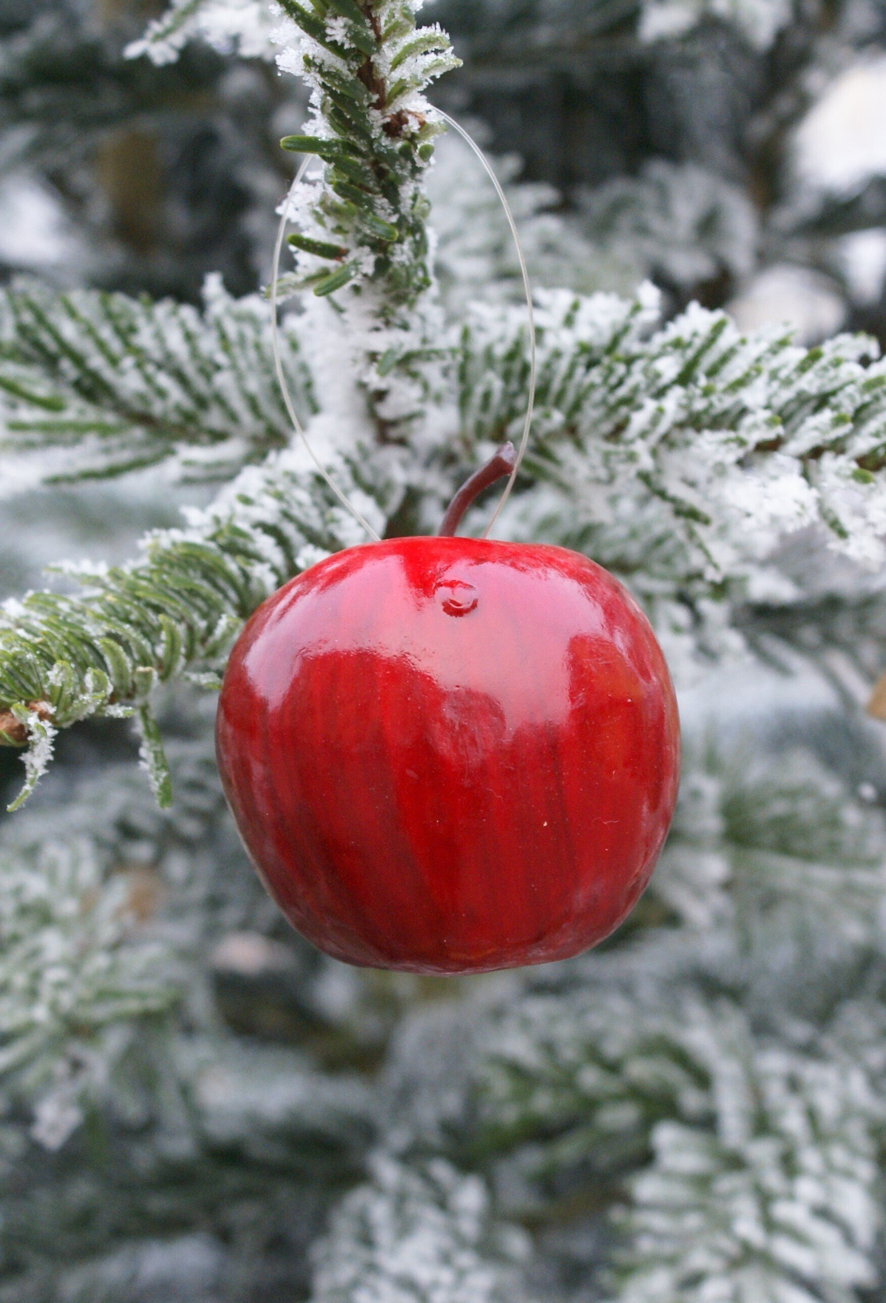フランスのクリスマスの歌森企画
