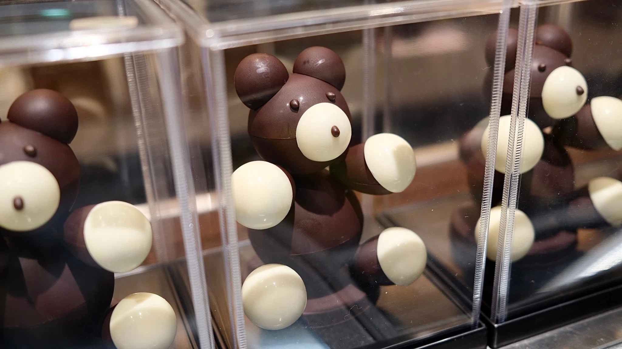 受け入れてくれる街」CHOCOLATIER TAKA〔ショコラティエ タカ〕・矢島